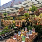 Esperienze Erasmus: Job Shadowing e Mobilità di Gruppo al Gemini College di Ridderkerk